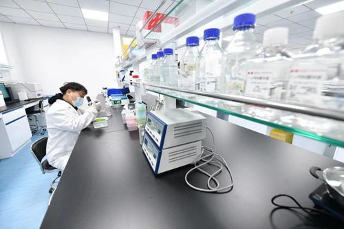 北京亦莊生物醫藥園企業全力以“復”，技術開發驅動產業新活力